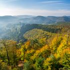 Herbst im Nordelsaß