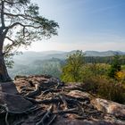 Herbst im Nordelsaß II