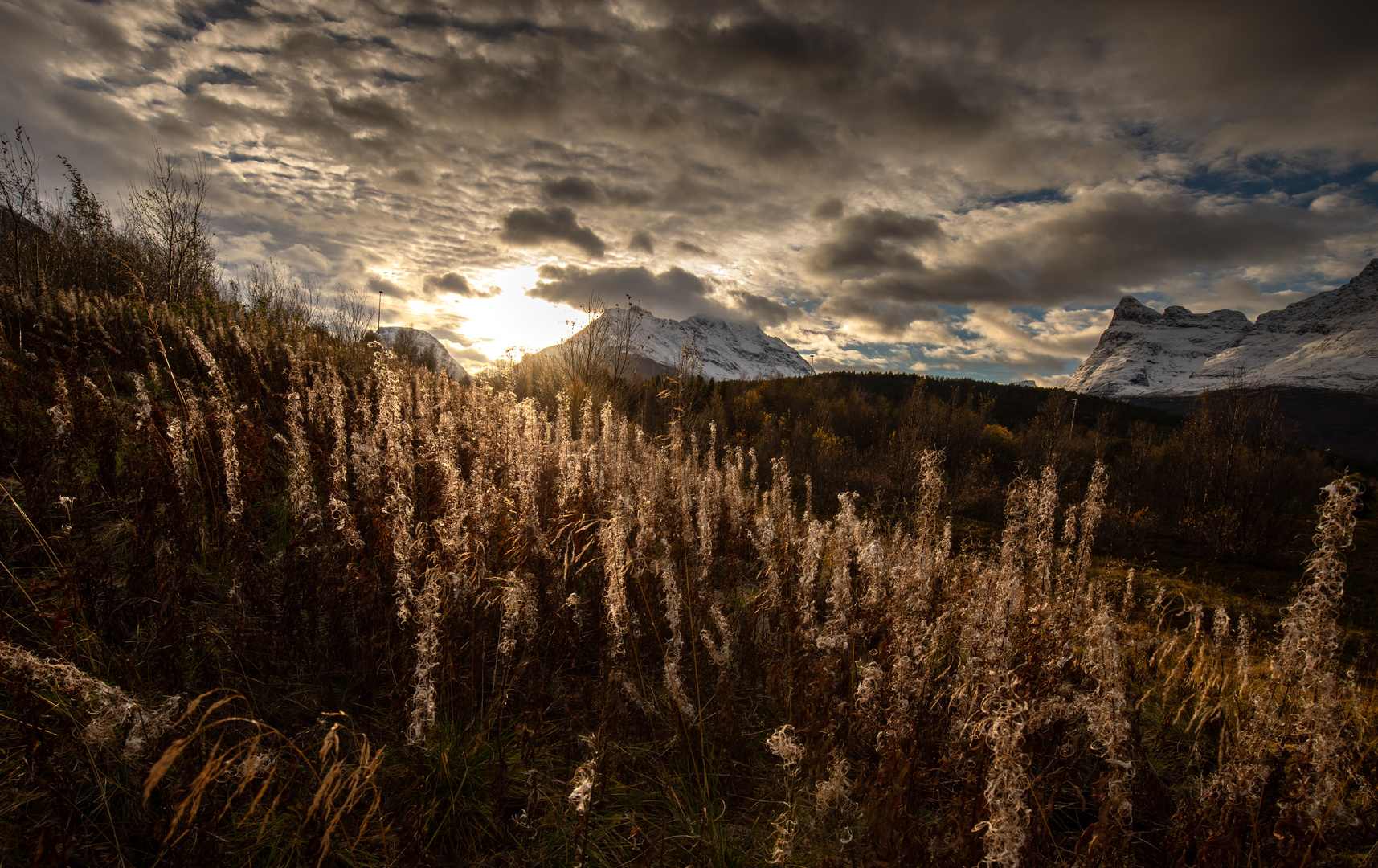 Herbst im Norden