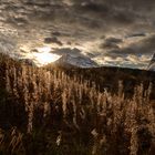 Herbst im Norden