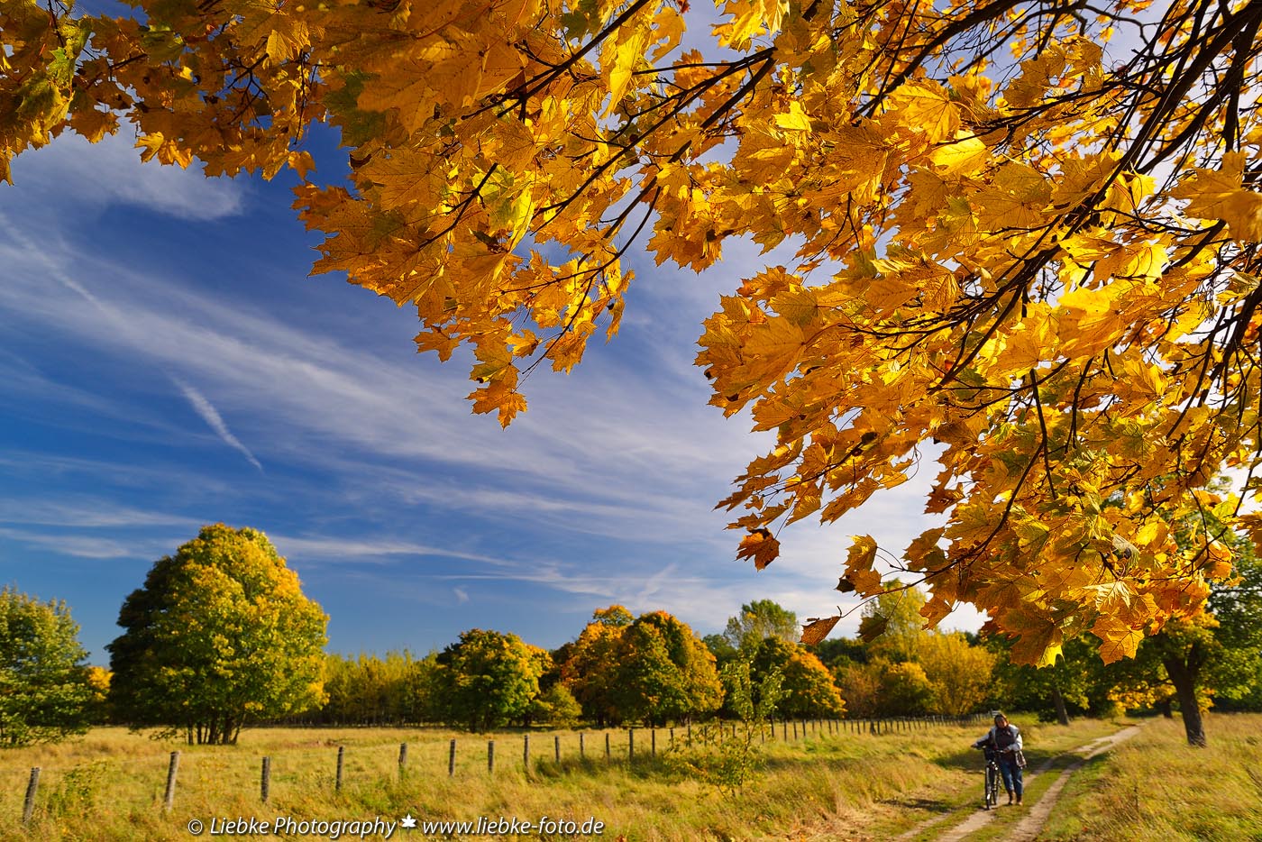 Herbst im Norden Berlins