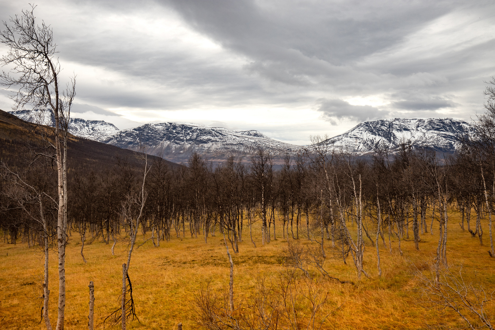 Herbst im Norden