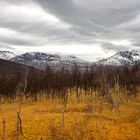 Herbst im Norden