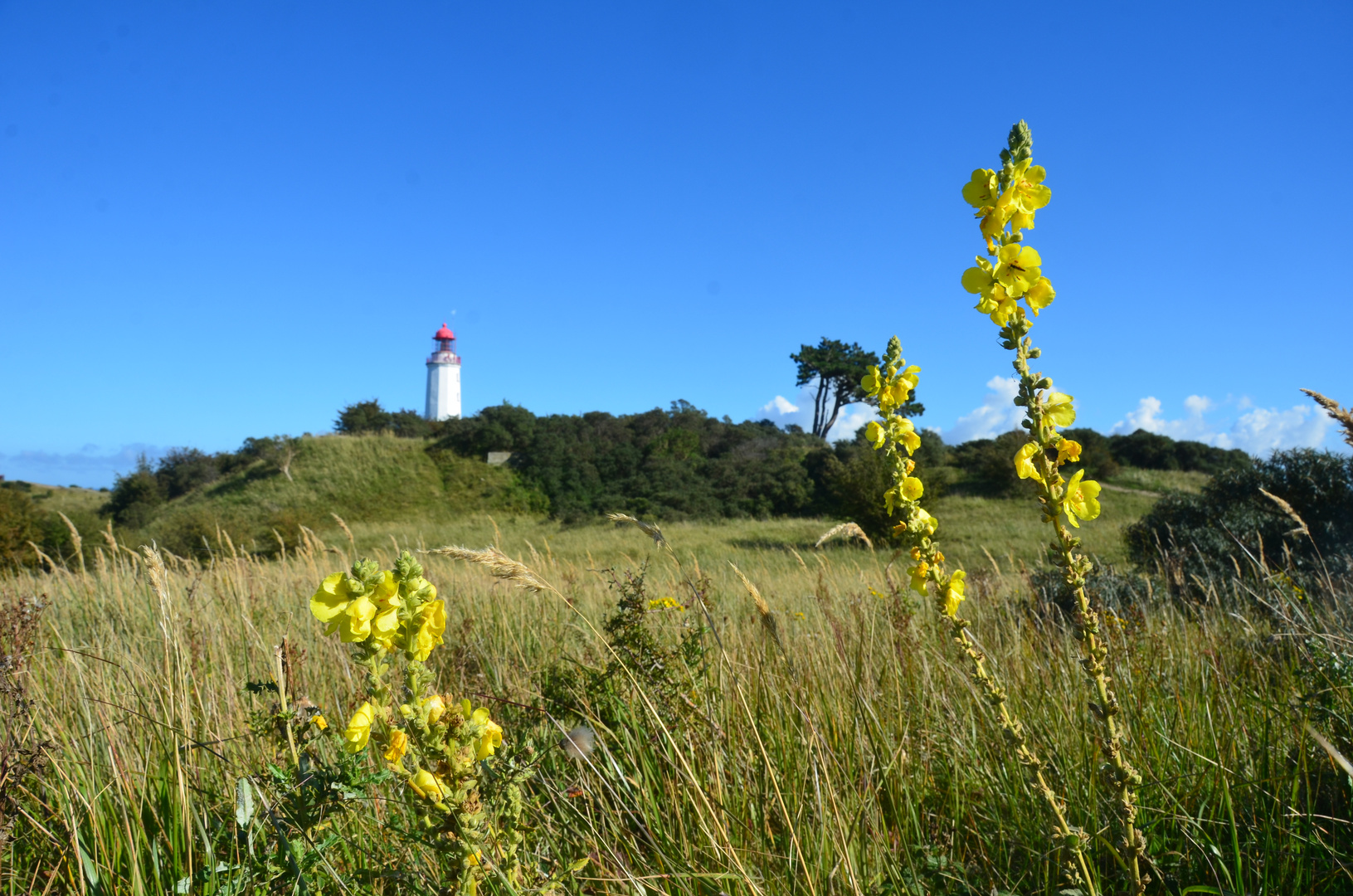 Herbst im Norden