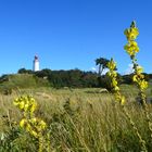 Herbst im Norden