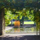 Herbst im Nordpark Düsseldorf