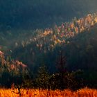 Herbst im Nordschwarzwald