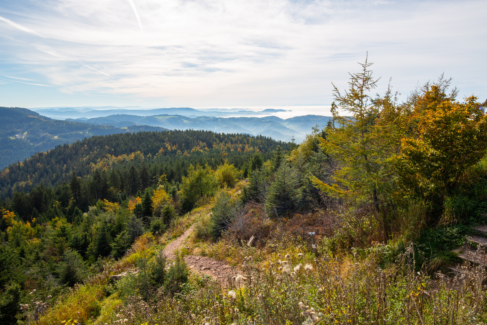 Herbst im Nordschwarzwald