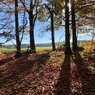 Herbst im November