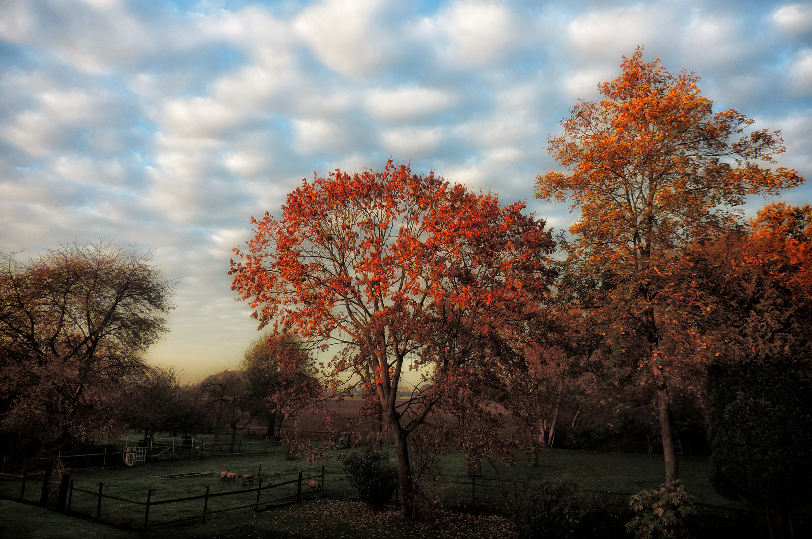 Herbst im November