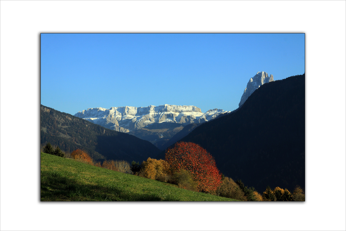 Herbst im November