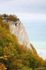 Herbst im NP Jasmund