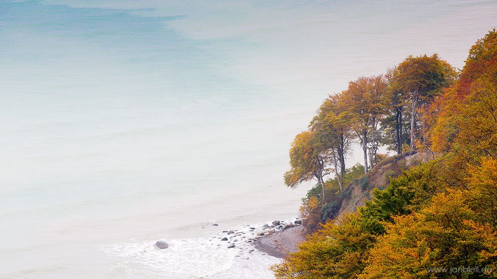 Herbst im NP Jasmund II