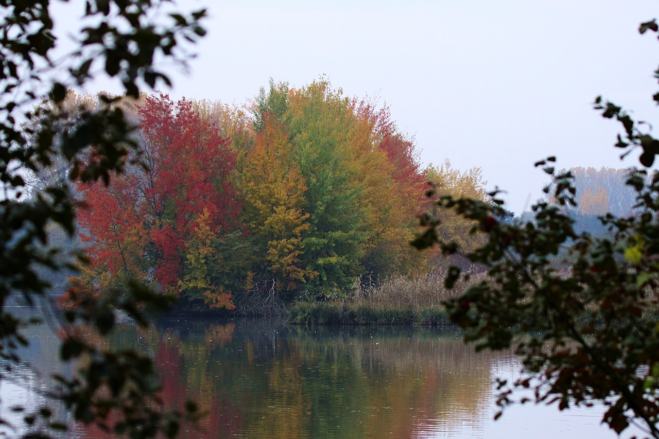 Herbst im NSG