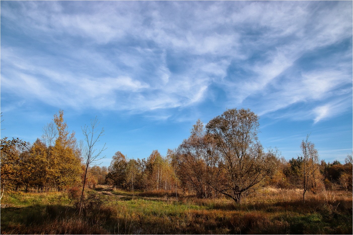 Herbst im NSG