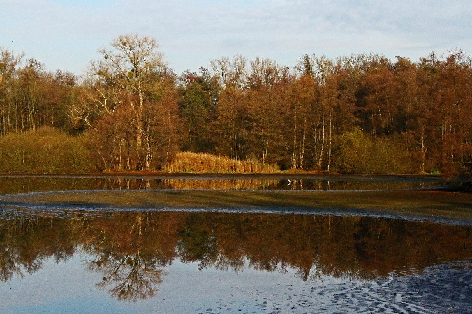 Herbst im NSG Weingartener Moor