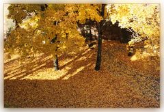 Herbst im Nürnberger Burggraben