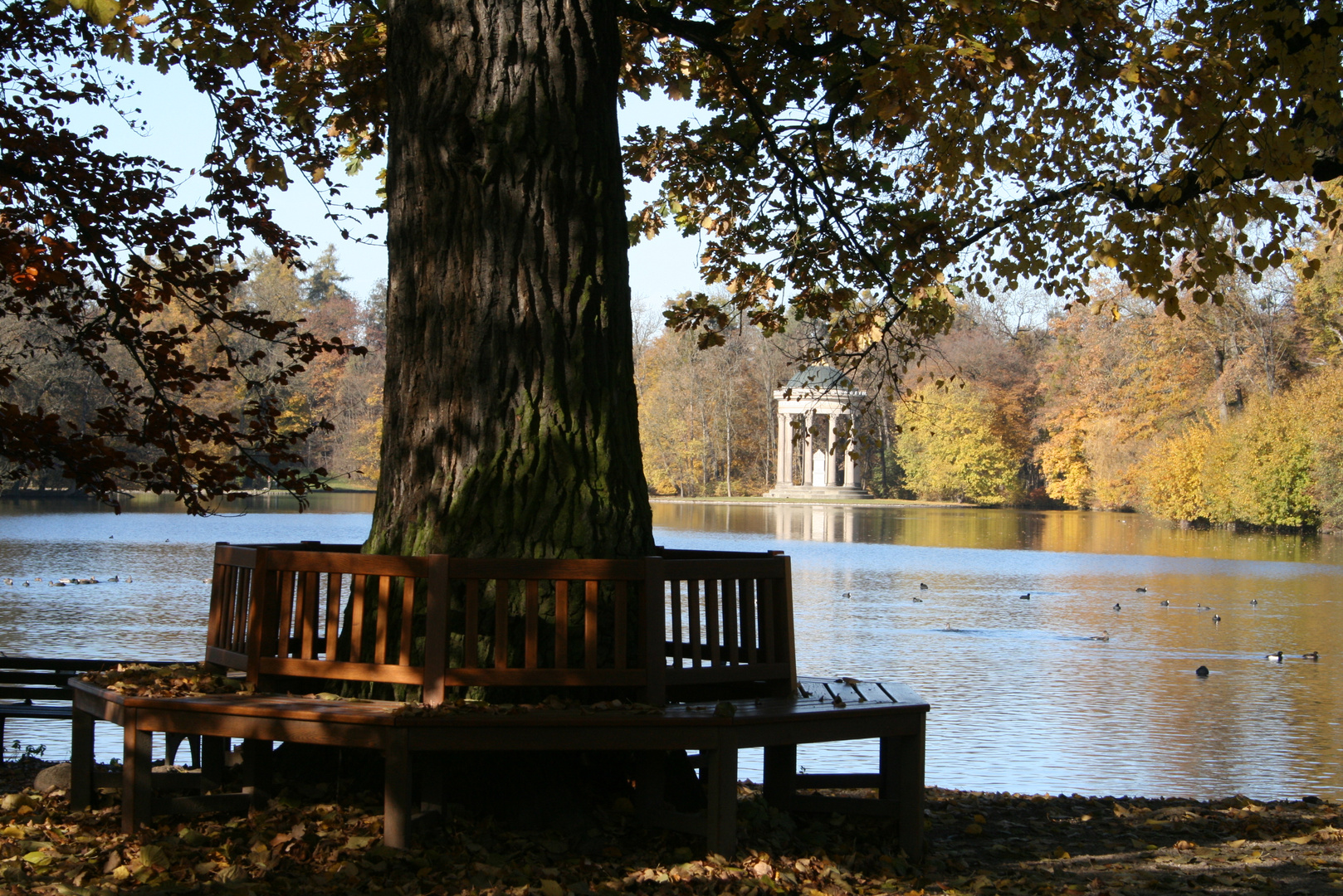 Herbst im Nymphenburger Park