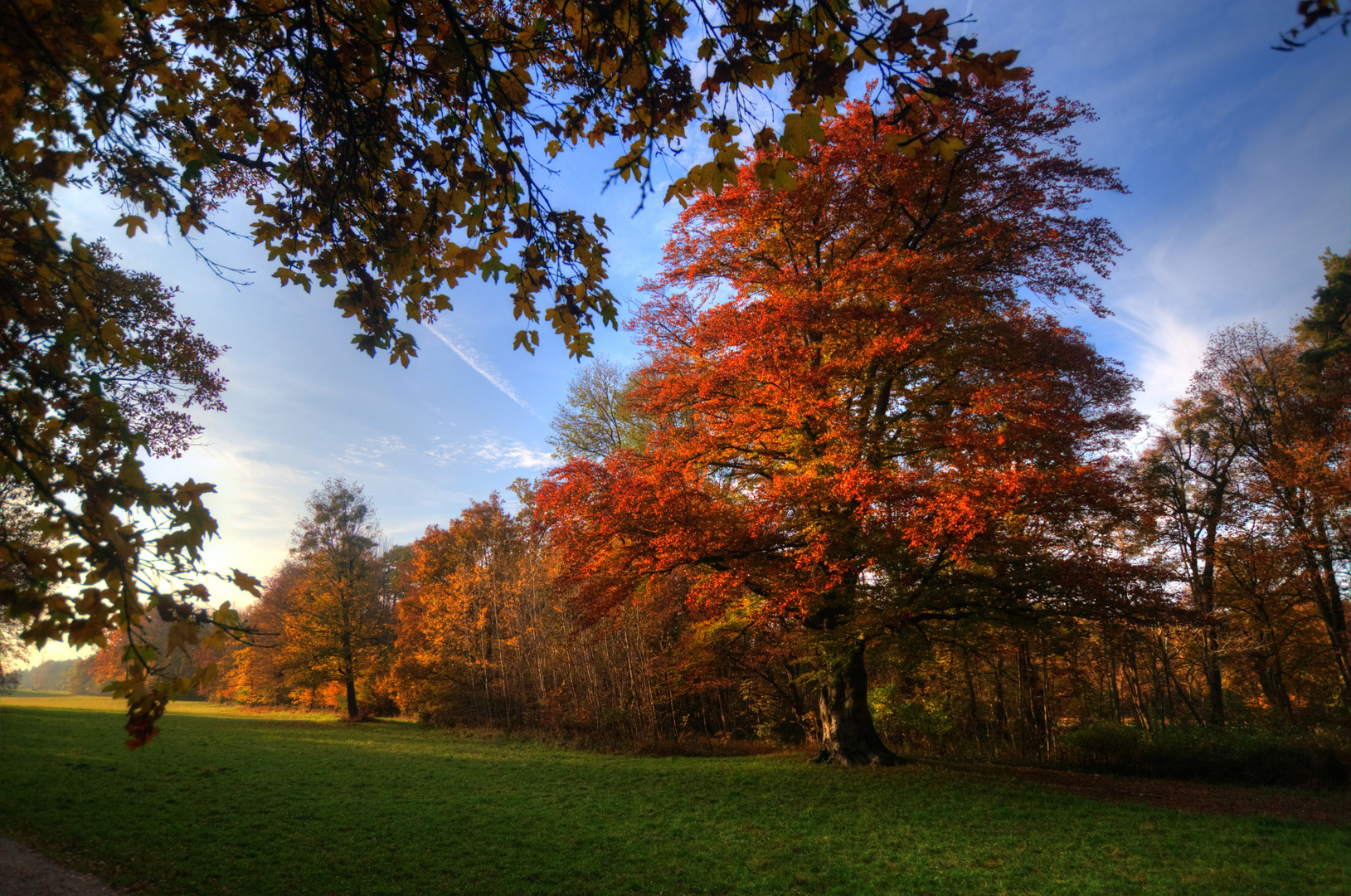 Herbst im Nymphenburger Park