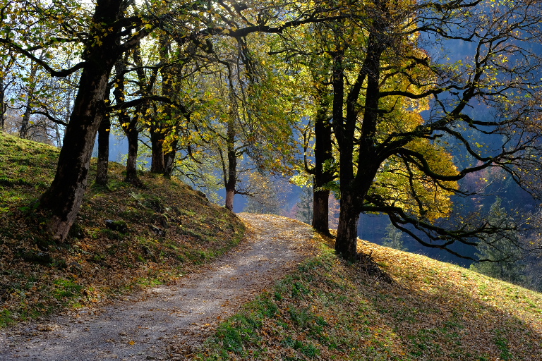 Herbst im Oberallgäu 