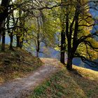 Herbst im Oberallgäu 