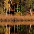 Herbst im Oberallgäu