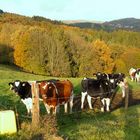 Herbst im Oberbergischen 4