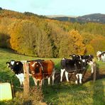 Herbst im Oberbergischen 4