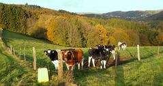 Herbst im Oberbergischen 4