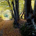 Herbst im Oberbergischen 5