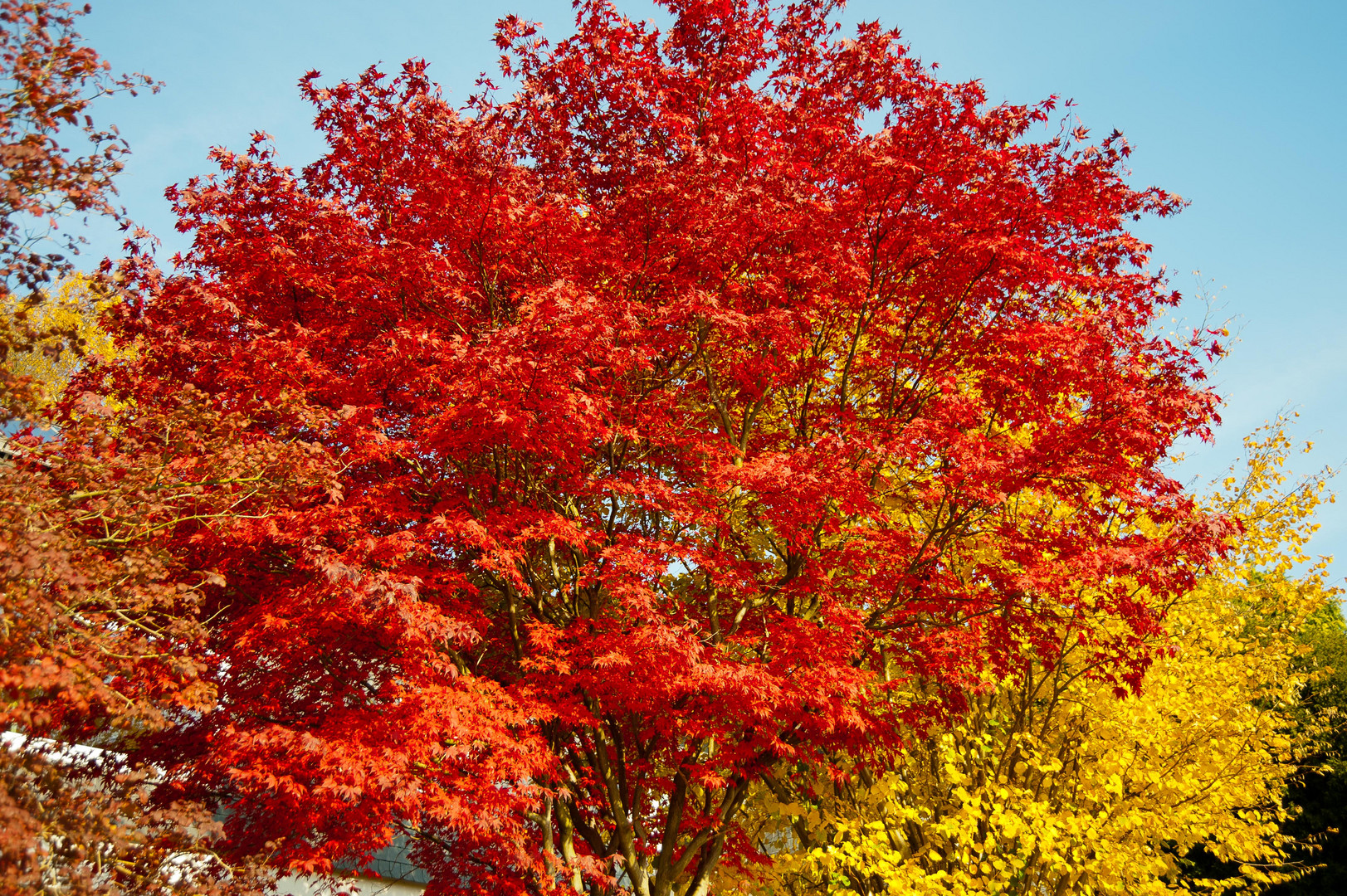 Herbst im Oberbergischen