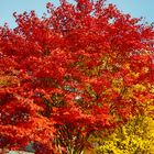 Herbst im Oberbergischen