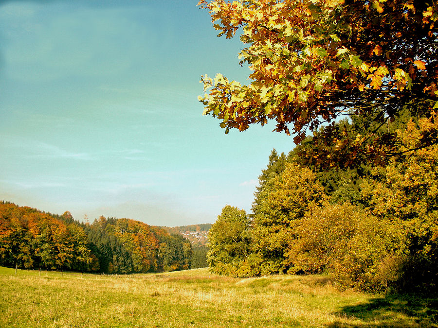 Herbst im Oberbergischen