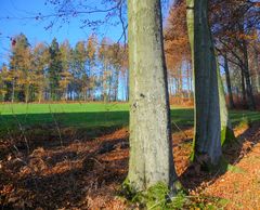 Herbst im Oberbergischen Land