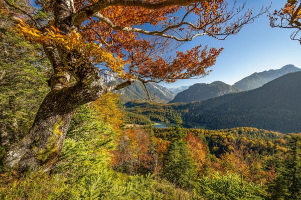 ~ Herbst im Oberen Isartal II ~