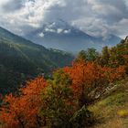 Herbst im oberen Rhonetal