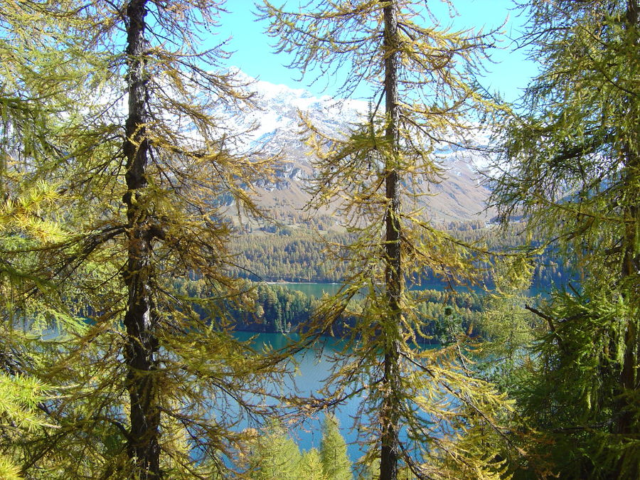 Herbst im Oberengadin