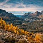 Herbst im Oberengadin