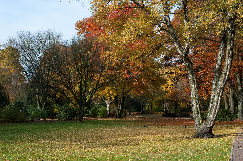 Herbst im Oberhausen