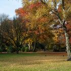 Herbst im Oberhausen