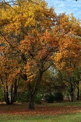 Herbst im Oberhausen 3