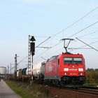 Herbst im Oberrheingraben