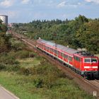 Herbst im Oberrheingraben