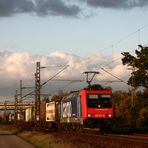 Herbst im Oberrheingraben II