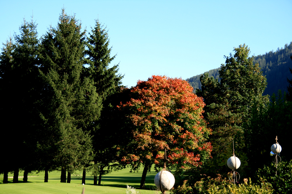 Herbst im obersten Gurktal