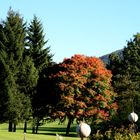 Herbst im obersten Gurktal