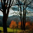 Herbst im Odenwald