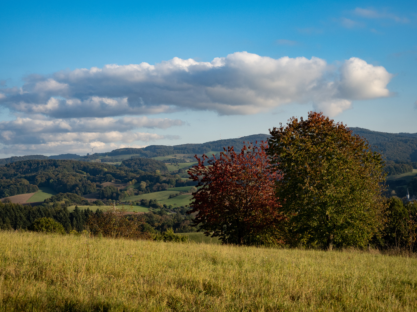 Herbst im Odenwald 1