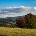 Herbst im Odenwald 1