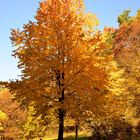 Herbst im Odenwald